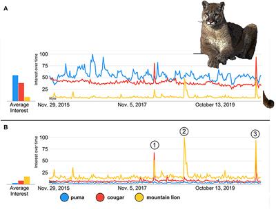 Online Noise as Illustrated by Pitfalls and Biogeography Associated With Common Names for Puma concolor